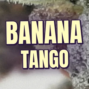 Banana Tango Cannabis Strain