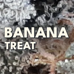 Banana Treat Cannabis Strain