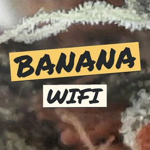 Banana WiFi Cannabis Strain