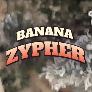 Banana Zypher Cannabis Strain