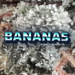 Bananas Cannabis Strain