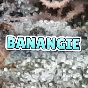 Banangie Cannabis Strain