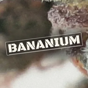 Bananium Cannabis Strain