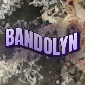 Bandolyn Cannabis Strain