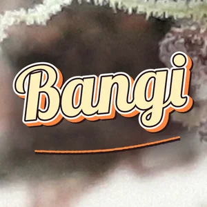 Bangi Cannabis Strain