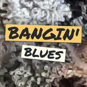 Bangin' Blues Cannabis Strain