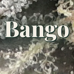 Bango Cannabis Strain