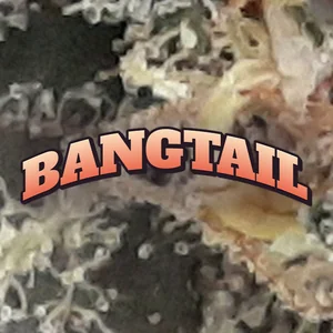 Bangtail Cannabis Strain
