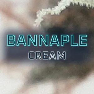 Bannaple Cream Cannabis Strain
