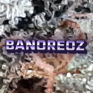 Banoreoz Cannabis Strain