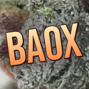 BaOx Cannabis Strain