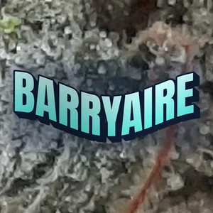 Barryaire Cannabis Strain