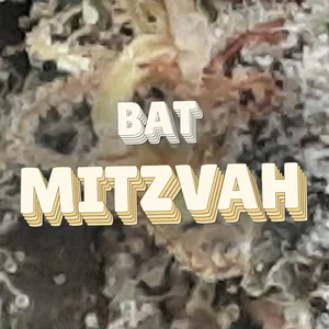 Bat Mitzvah Cannabis Strain