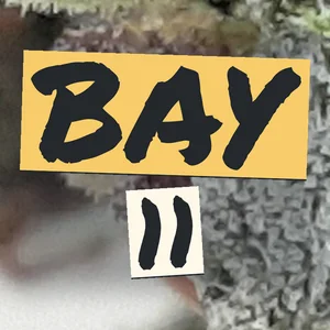 Bay 11 Cannabis Strain