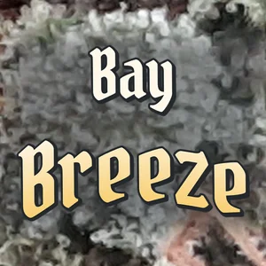 Bay Breeze Cannabis Strain