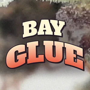 Bay Glue Cannabis Strain