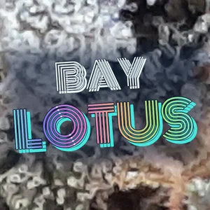 Bay Lotus Cannabis Strain