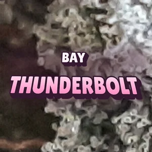 Bay Thunderbolt Cannabis Strain