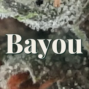 Bayou Cannabis Strain