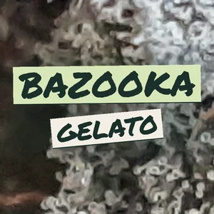 Bazooka Gelato Cannabis Strain