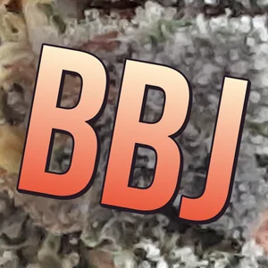 BBJ Cannabis Strain