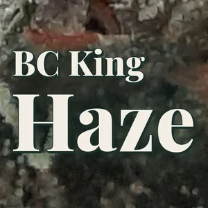 BC King Haze Cannabis Strain