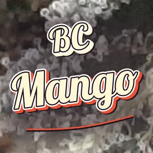 BC Mango Cannabis Strain