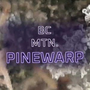 BC Mtn. Pinewarp Cannabis Strain