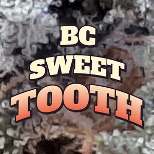 BC Sweet Tooth Cannabis Strain