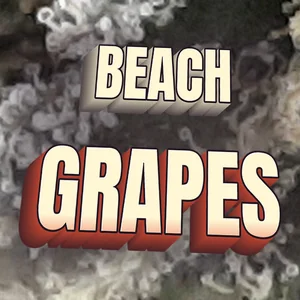 Beach Grapes Cannabis Strain