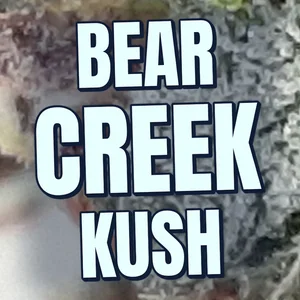 Bear Creek Kush Cannabis Strain