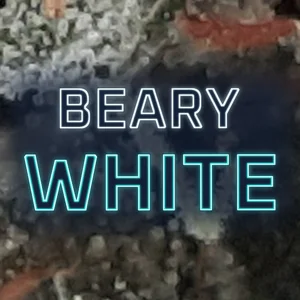 Beary White Cannabis Strain