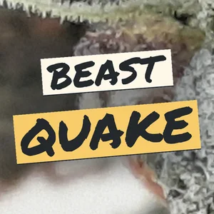 Beast Quake Cannabis Strain