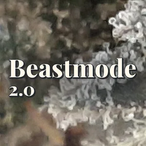 Beastmode 2.0 Cannabis Strain