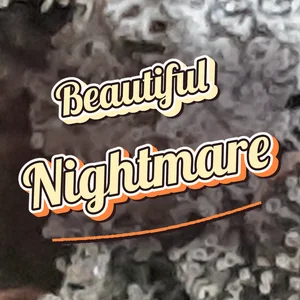 Beautiful Nightmare Cannabis Strain