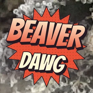 Beaver Dawg Cannabis Strain