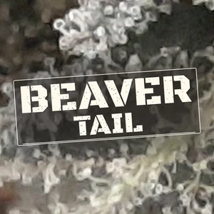 Beaver Tail Cannabis Strain