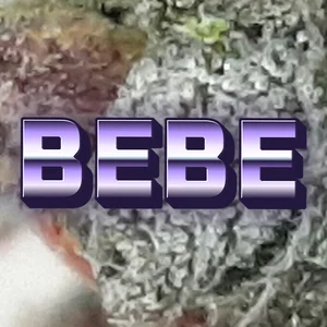 Bebe Cannabis Strain