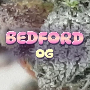 Bedford OG Cannabis Strain