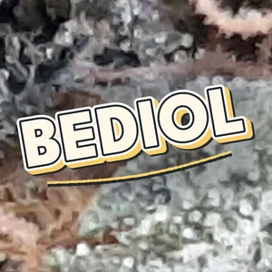 Bediol Cannabis Strain
