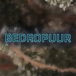 Bedropuur Cannabis Strain