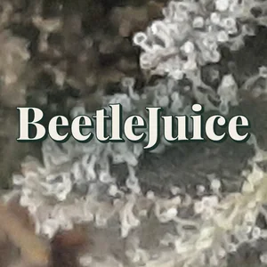 BeetleJuice Cannabis Strain
