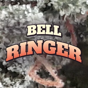 Bell Ringer Cannabis Strain