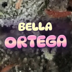 Bella Ortega Cannabis Strain