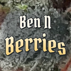 Ben N Berries Cannabis Strain