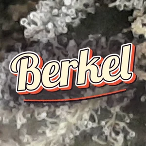 Berkel Cannabis Strain