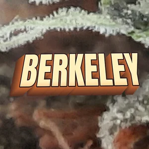 Berkeley Cannabis Strain