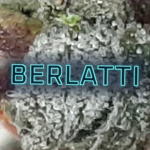 Berlatti Cannabis Strain