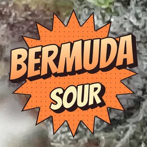 Bermuda Sour Cannabis Strain