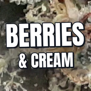 Berries & Cream Cannabis Strain